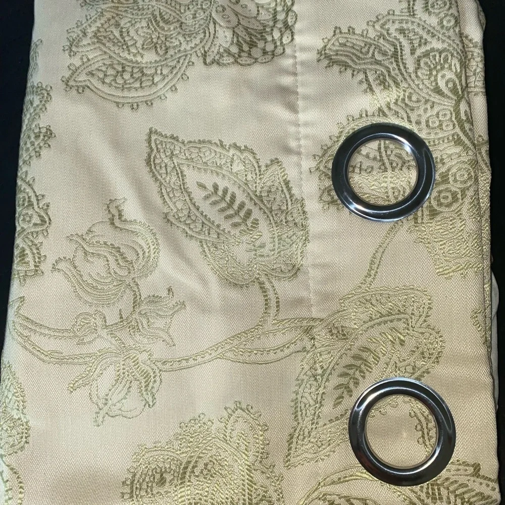 Pier 1 Imports Cream Sage Textured Paisley Grommet Elegant Curtain Panel 50x84”